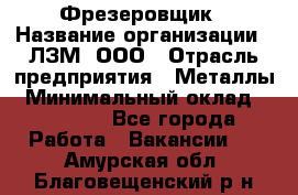 Фрезеровщик › Название организации ­ ЛЗМ, ООО › Отрасль предприятия ­ Металлы › Минимальный оклад ­ 35 000 - Все города Работа » Вакансии   . Амурская обл.,Благовещенский р-н